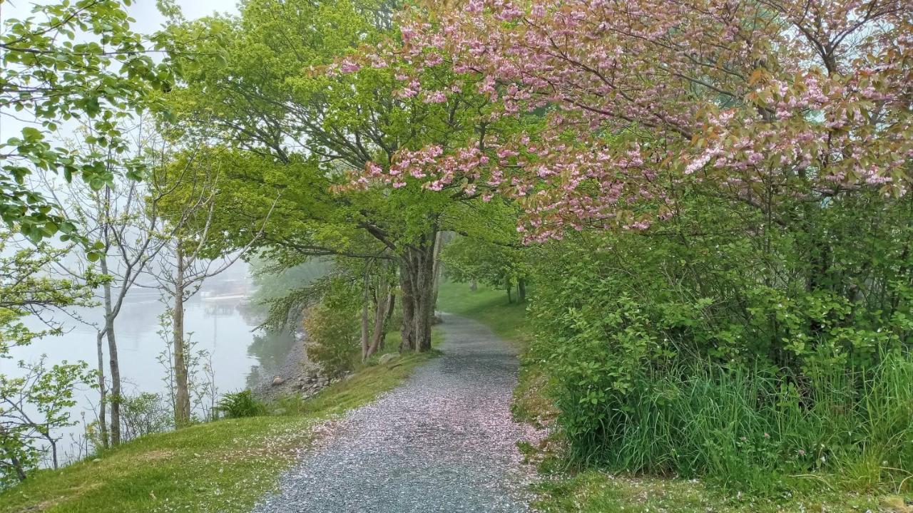 Beautiful Home On Sunny Acreage لونينبورج المظهر الخارجي الصورة